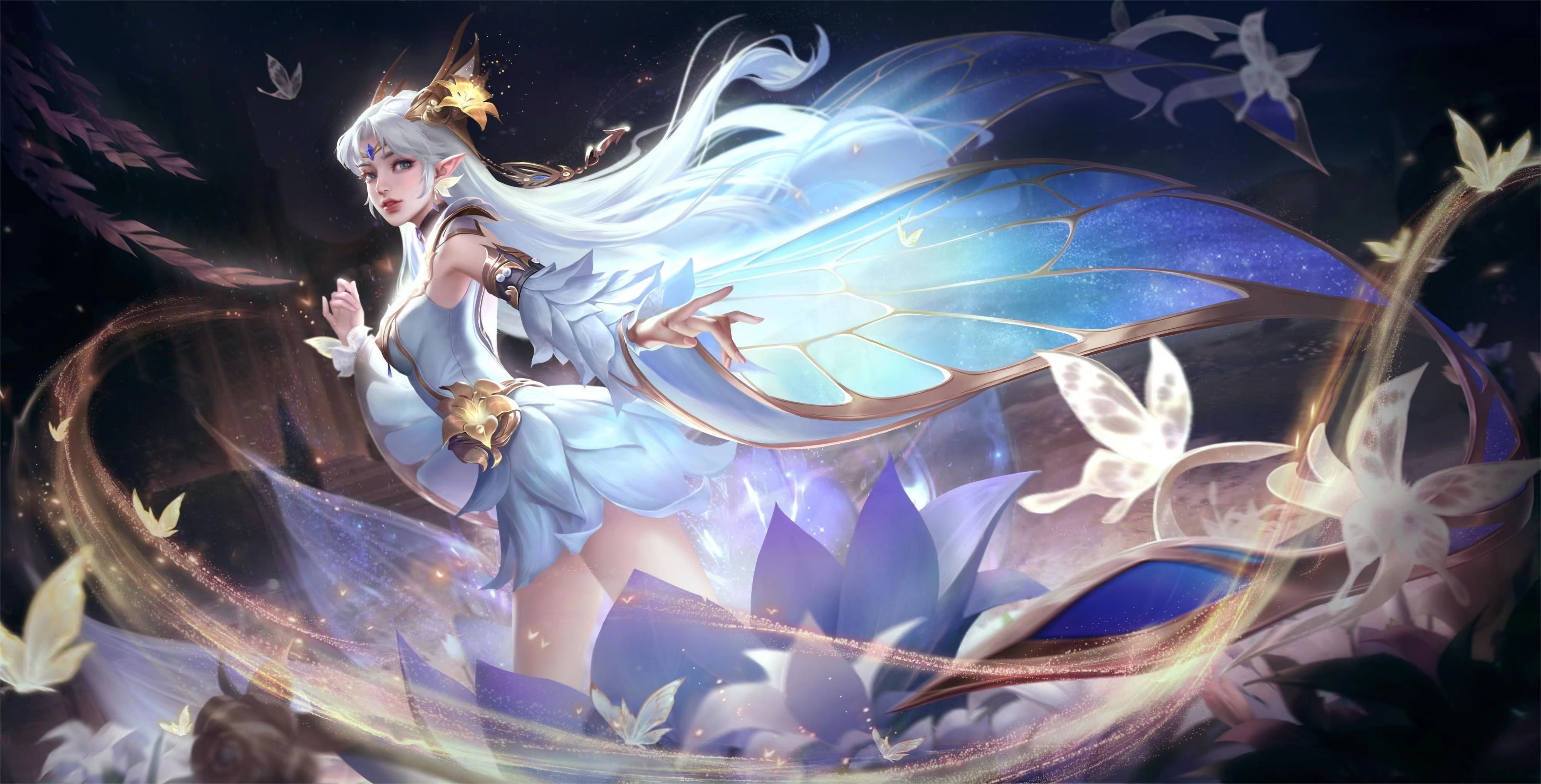 金球的决定 金球的决定