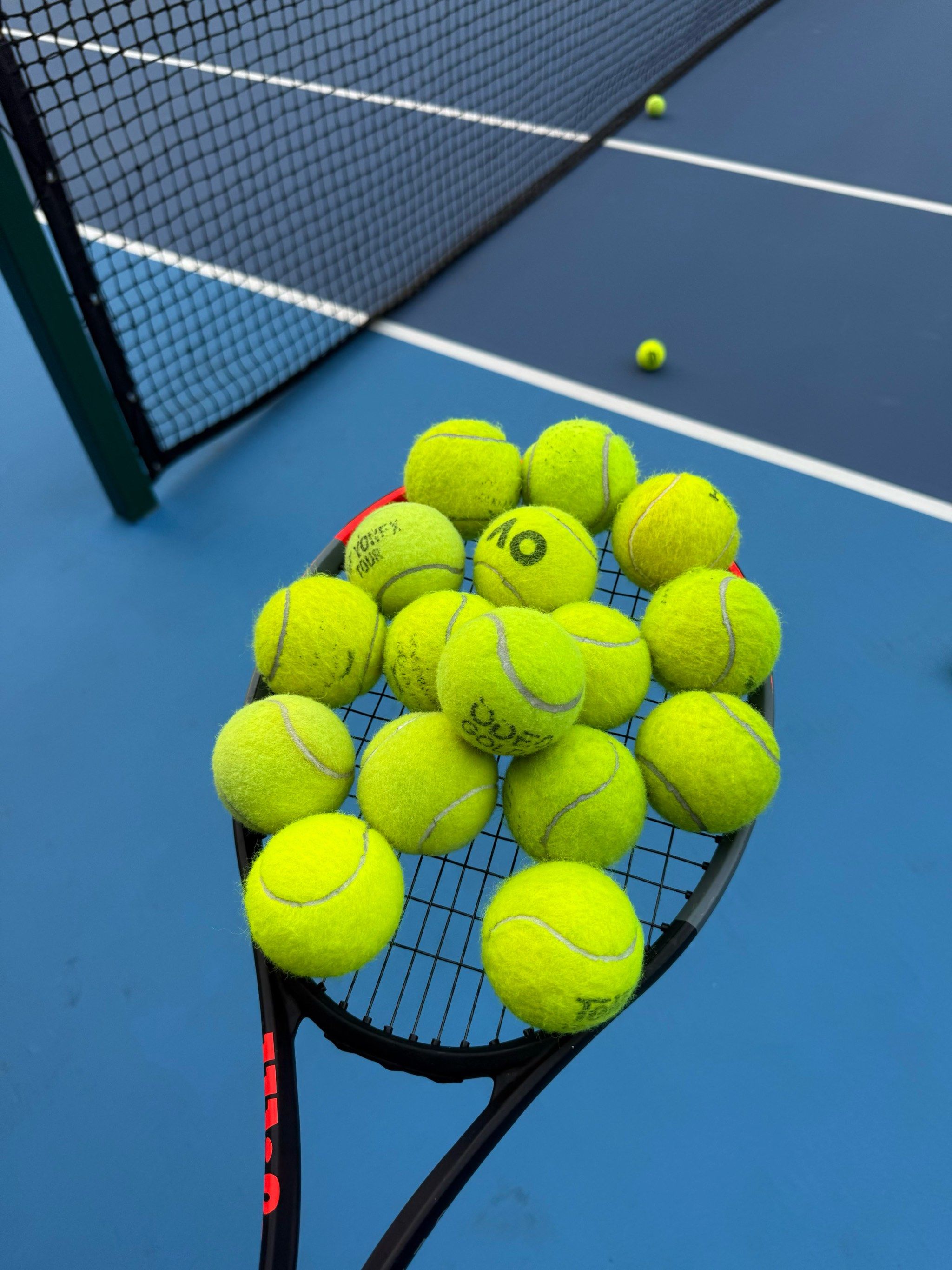 的开幕式在 的开幕式在