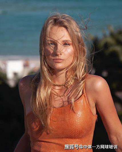 坎塞洛作为 坎塞洛作为